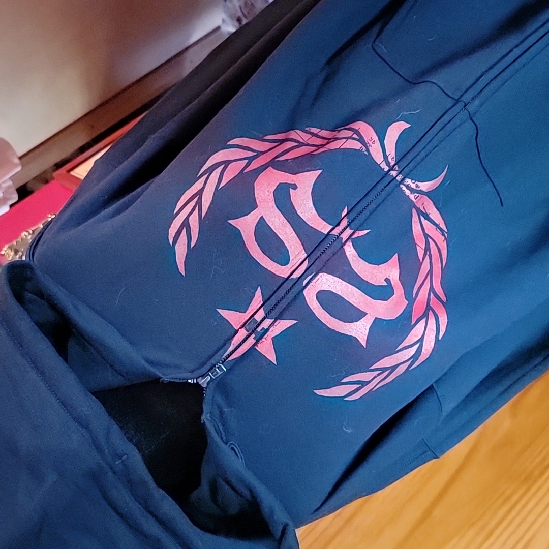 Nwot Stone Sour Hoodie